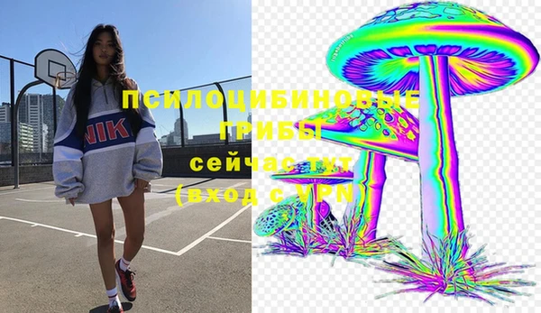 амф Белокуриха