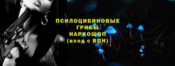 амф Белокуриха