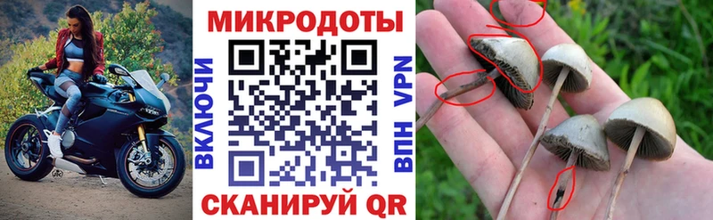 Галлюциногенные грибы Magic Shrooms  где купить   гидра ссылка  Мостовской 